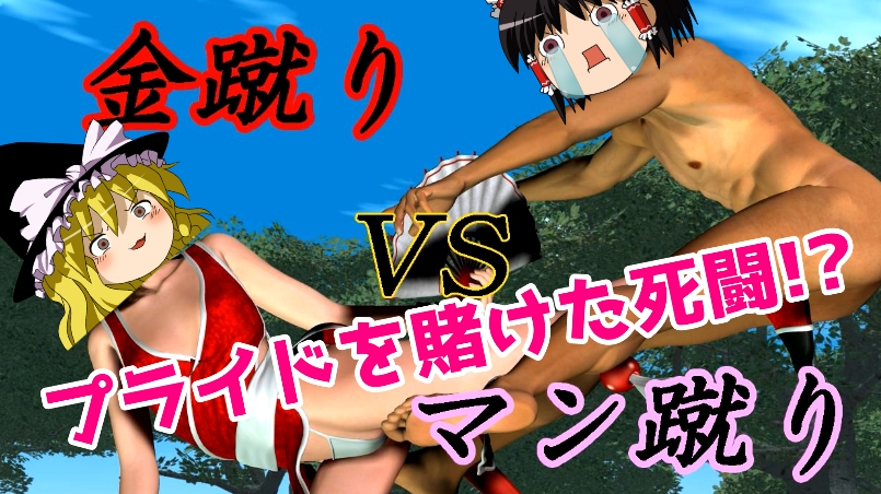金蹴り対マン蹴り